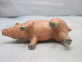Varken pig.