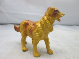 Hond Dog