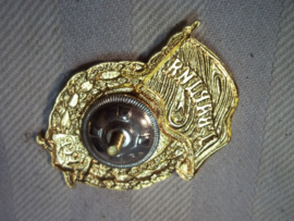 Russian Guards badge, last model. Embleem Russische garde nieuw model