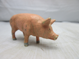 Varken pig.