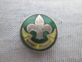 Dutch scouting button hole badge Nederlands knoopgats embleem padvinderij Weest Paraat.