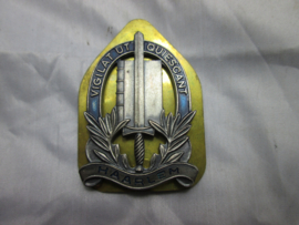 Dutch police badge, Nederlands politie brevet van de stad HAARLEM, gemeentepolitie