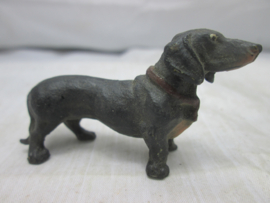 Hond Dog zwarte tekkel.
