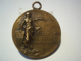 Swiss medal 1914- 1918, Zwitserse medaille