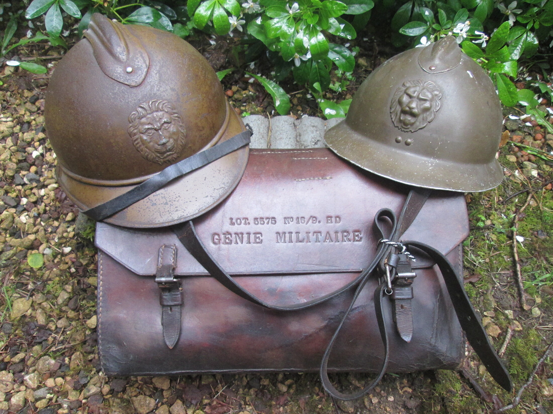 tas belgie genie