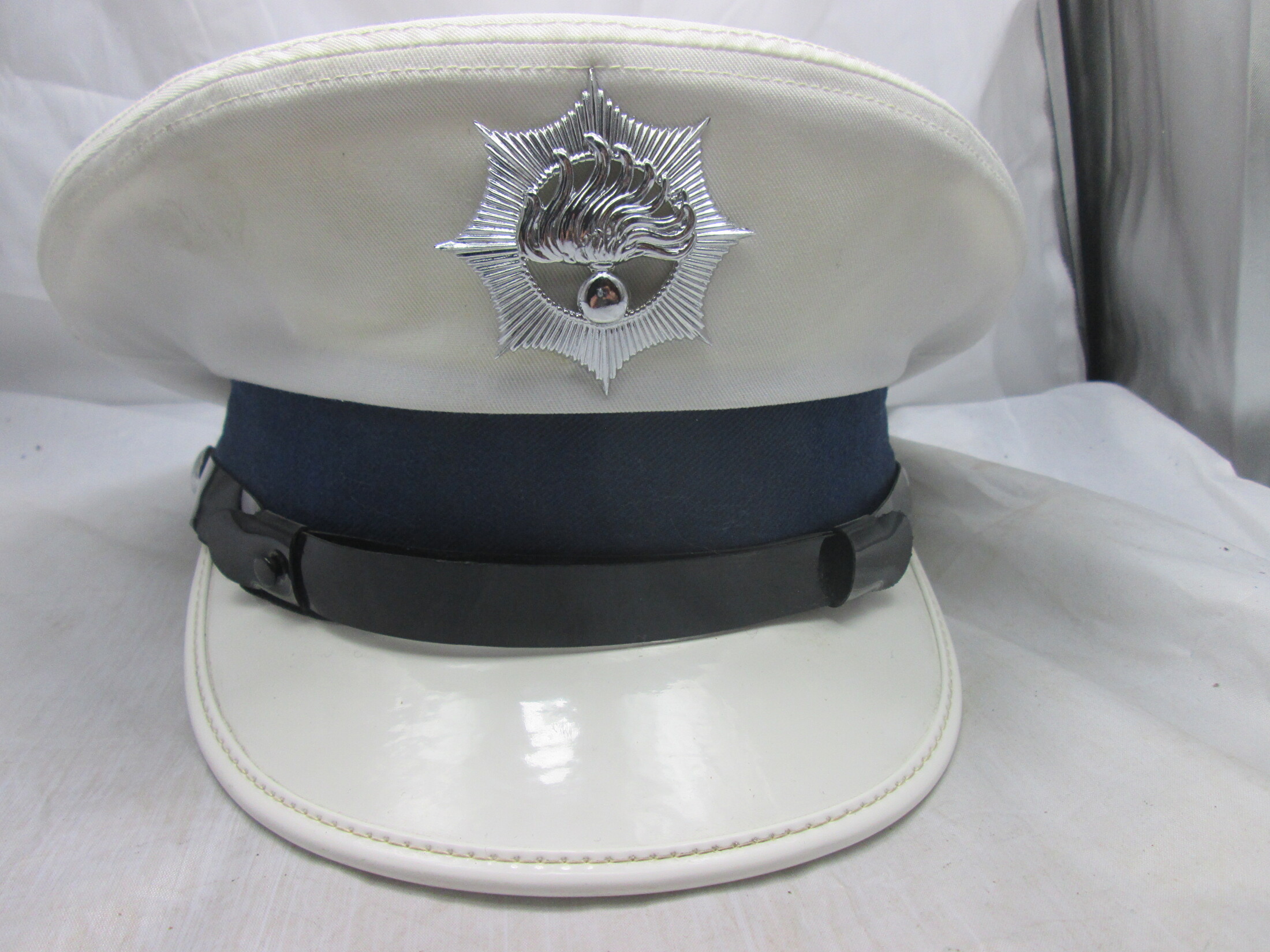 Rijkspolitie standdienst