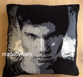 Gratis haak- en/of borduurpatroon Taylor Lautner