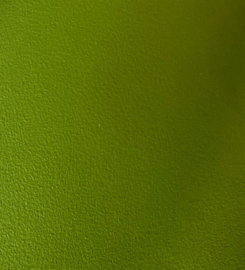 Bijbelhoes kunstleer appeltjes groen