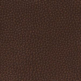 GBS zakbijbel hoogte 12,8 cm x omtrek (3 zijdes, zonder blz): 21 cm Bijbelhoes vegan leather mocca