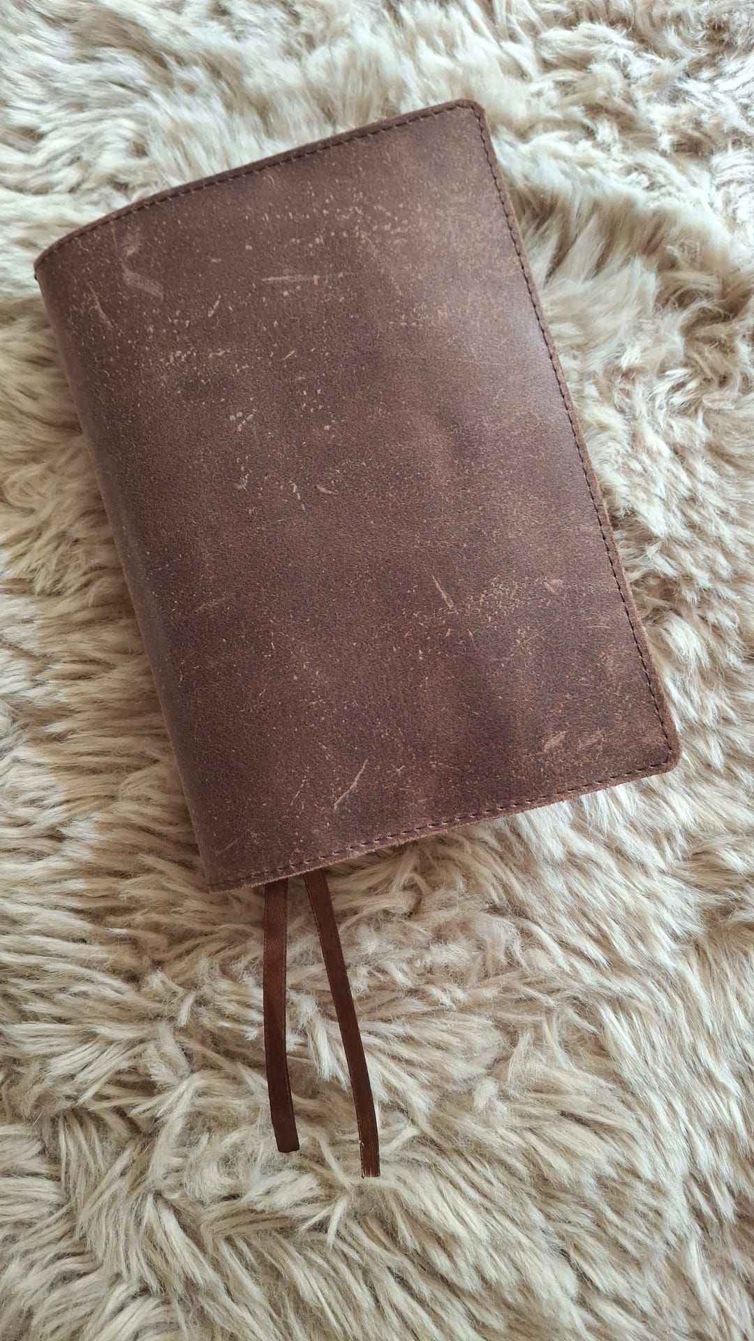 BGT 18,8x 29.3: Bijbelhoes vintage leer donker bruin