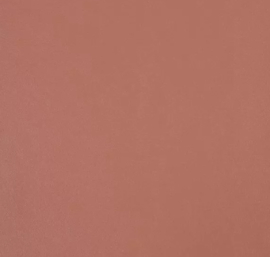 Bijbelhoes Vegan Leather Pastel Bruin