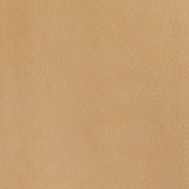 Bijbelhoes Vegan Leather Biscuit