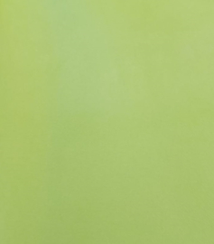 Bijbelhoes kunstleer groen licht olijf