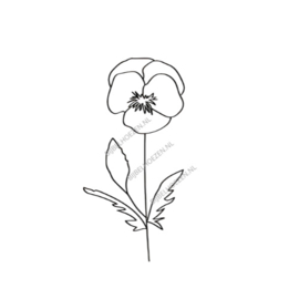 Gravure geschikt voor elke Bijbel uit onze standaard collectie