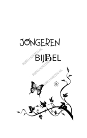 Gravure JongerenBijbel uit onze standaard collectie