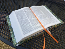 Bijbelhoes Victoria met leren rug en bijbellabel
