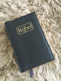HSV basis: Bijbelhoes Vegan Leather Antraciet incl BIJBEL goud