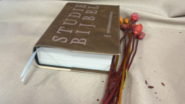 HSV Studie: Bijbelhoes Vegan Leather Vintage Cashmere incl. opdruk