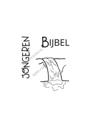 Gravure JongerenBijbel uit onze standaard collectie