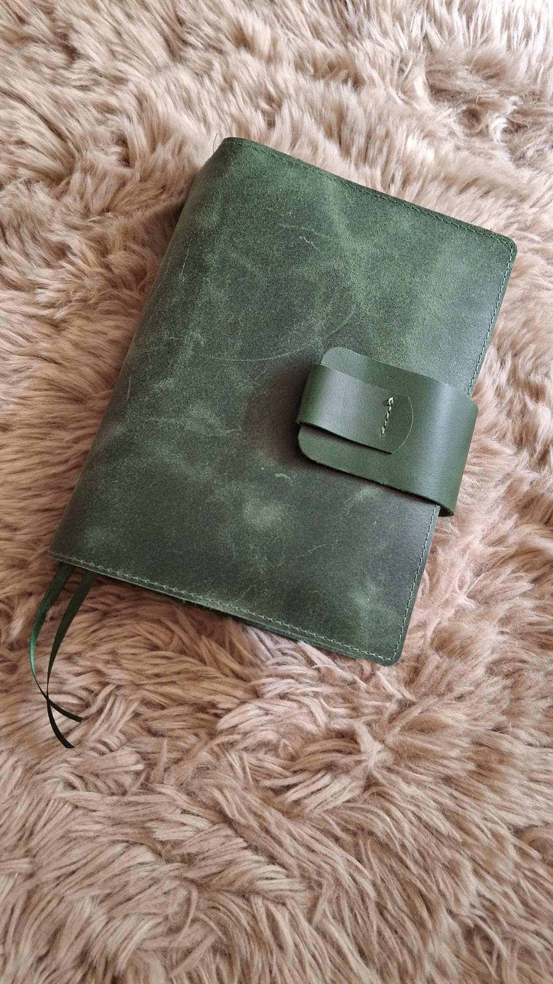 BMU 20,8: Bijbelhoes vintage leer groen