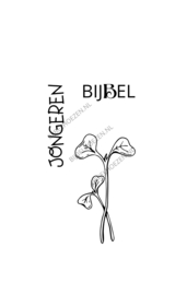 Gravure JongerenBijbel uit onze standaard collectie