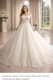 prinsessen trouwjurk maat 38 40