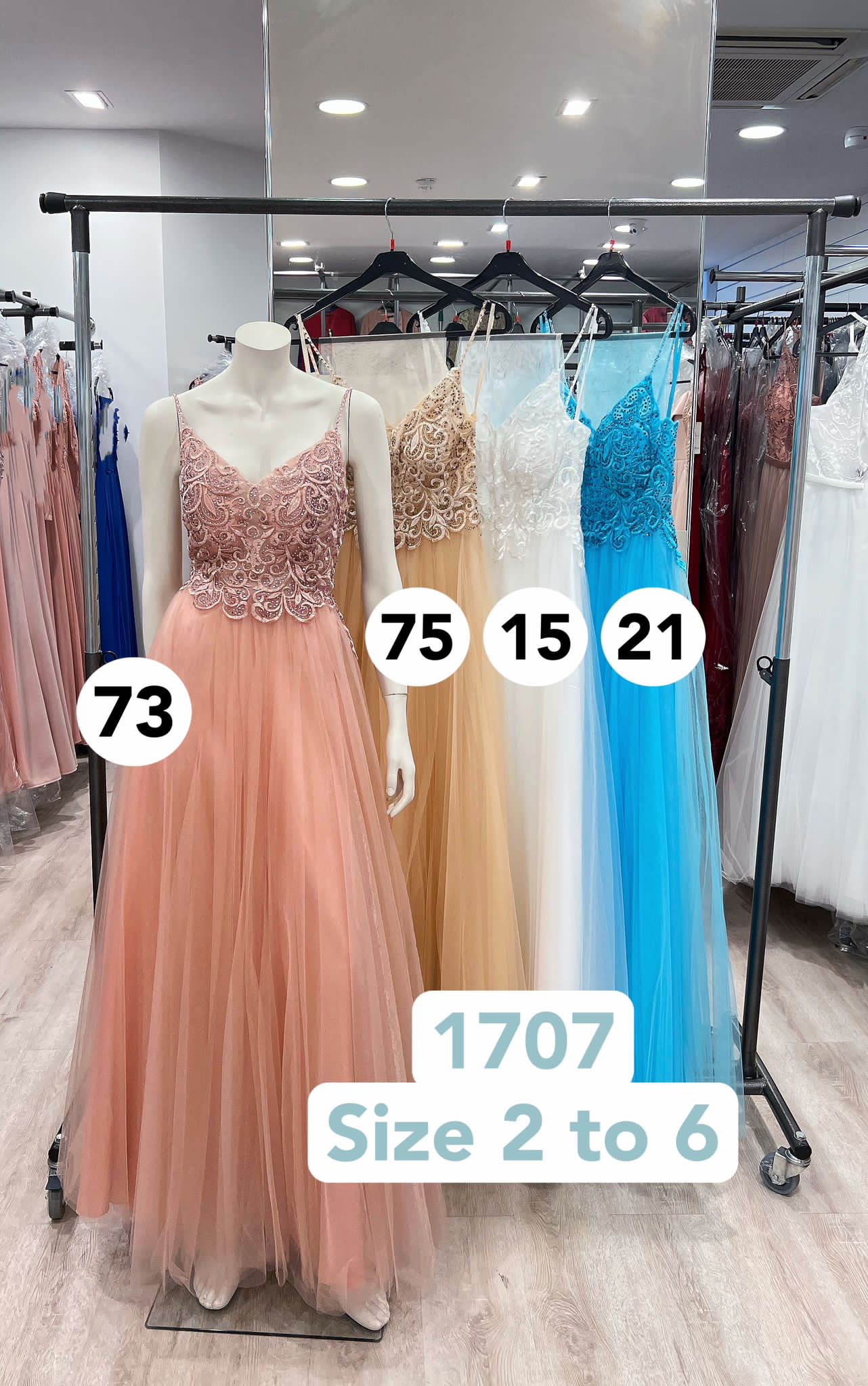 prinsessenjurk dames maat 40, 42