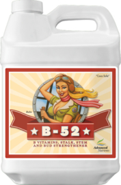 Advanced Nutrients B-52 1 liter