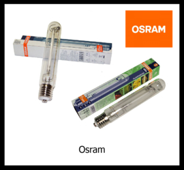 Osram Lampen