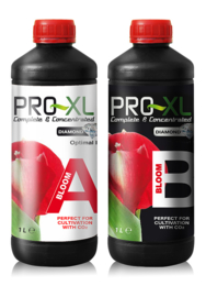 Pro XL Bloom A+B 1L