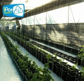 1Pot Systeem 24