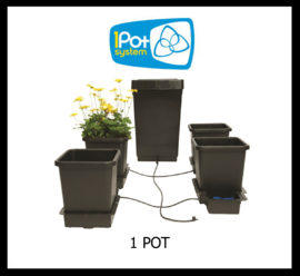 1Pot