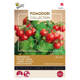 Buzzy Pomodori Tomaat Minuscolo