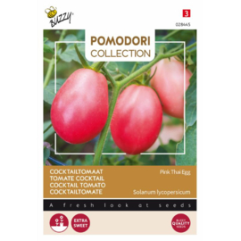 Buzzy Pomodori Tomaat Pink Thai Egg