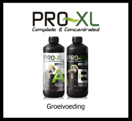 ProXL