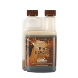 BIOCANNA Bio BOOST 1 liter