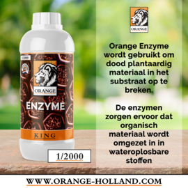 Orange Enzyme 1L