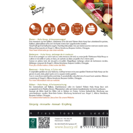 Buzzy Patio Veggies Biet Hula Hoop
