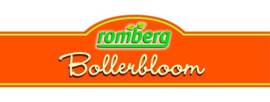 Romberg Bollerbloom Nino