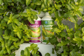Terra Aquatica DualPart Bloom 1 liter