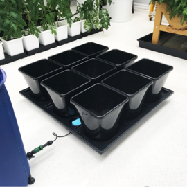 AutoPot Auto9 25L XL Tray Systeem 9 potten