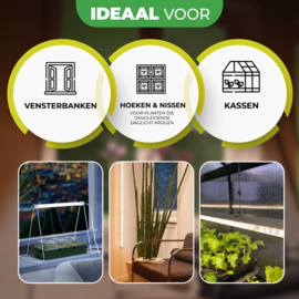 Biogreen LED plantenlamp Florabooster 200 - 60 cm 9 W