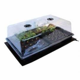 ROOTiT Large Propagator