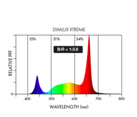 DimLux LED Xtreme Series 500 Watt