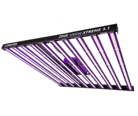 Lumatek Zeus 1000W Xtreme 3.1