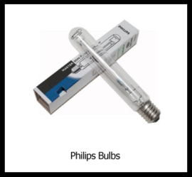 Philips Lampen