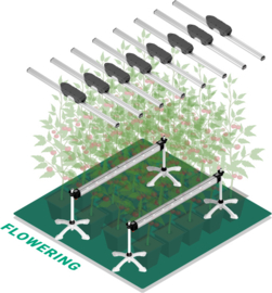 Think Grow LED Model One DR-1