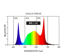 DimLux LED Xtreme Series 750 Watt
