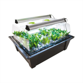X stream 12 Aeroponic Propagator + Sunblaster LED Kit