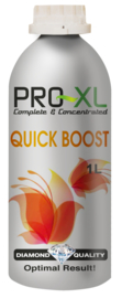 Pro XL Quick Boost 1L